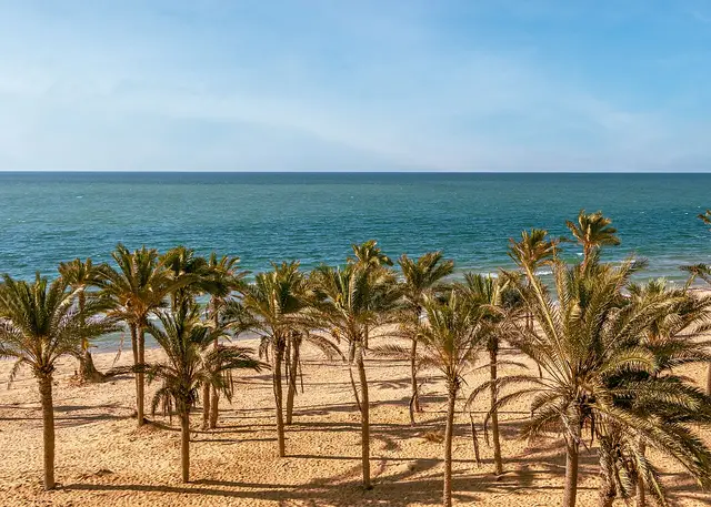 Al `arish, Egypt