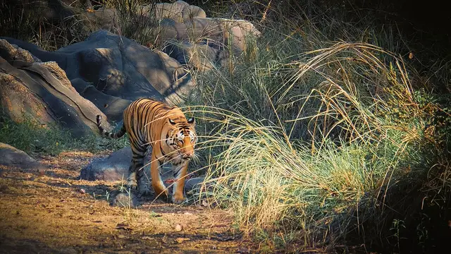 Balaghat, India