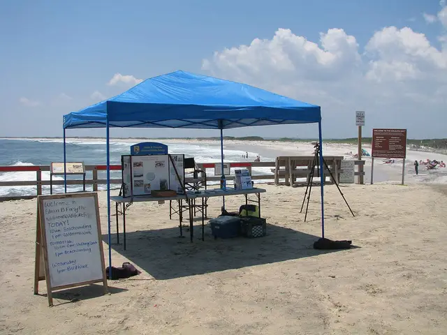 Beach Haven, United States