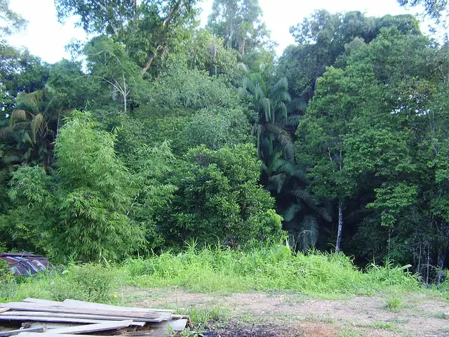 Betong, Malaysia