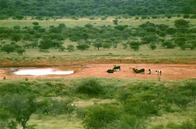Selibe Phikwe, Botswana