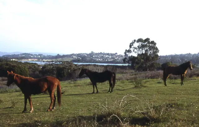 Wanneroo, Australia