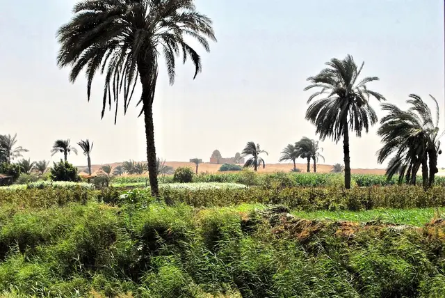Cost of Living in Faiyum