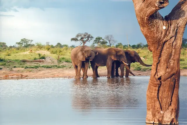Hwange, Zimbabwe