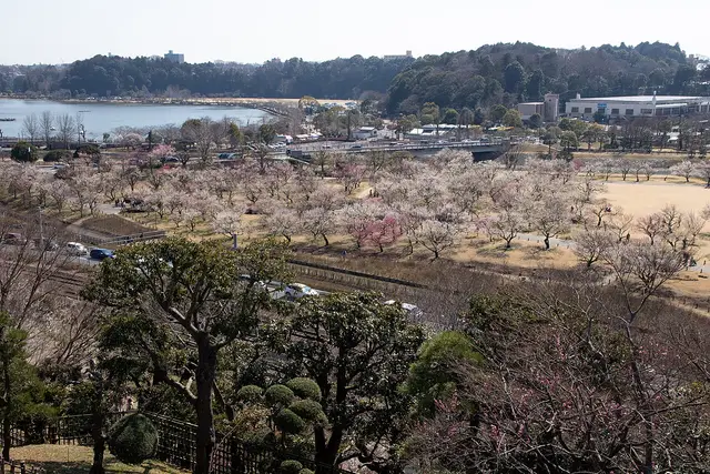 Ibaraki, Japan