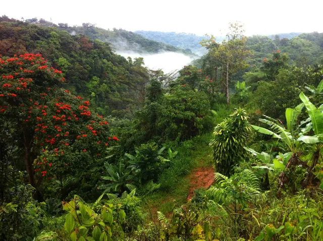 Jayuya, Puerto Rico