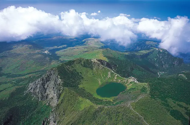 Flights From Novosibirsk To Jeju