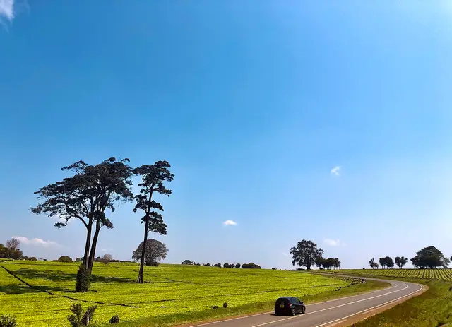 Kiambu, Kenya