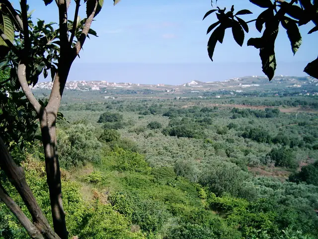 Koura, Lebanon
