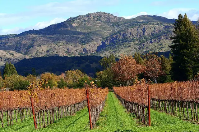 Napa, United States