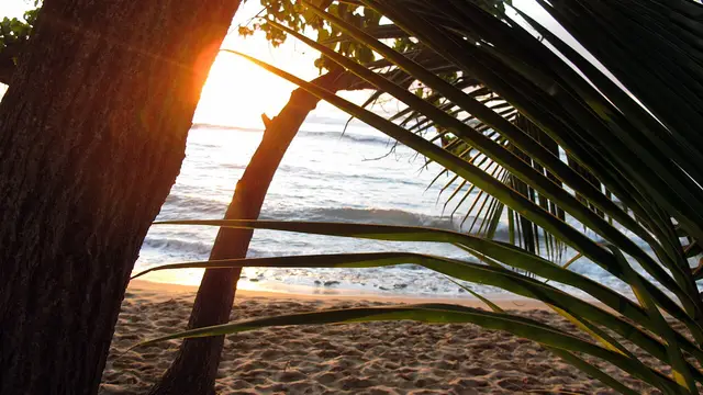 Rincon, United States
