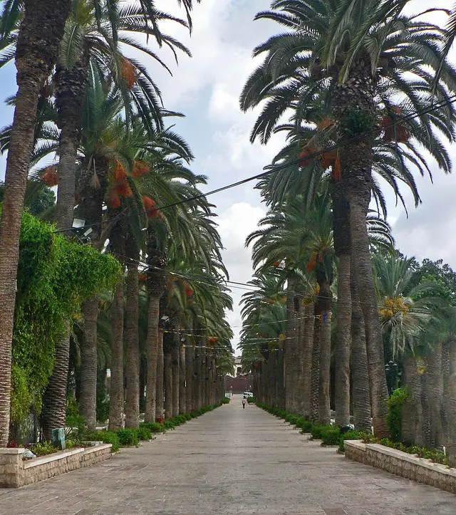 Cost of Living in Leziyyon