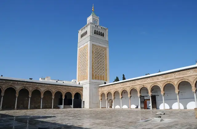 Flights From Arkhangelsk To Tunis