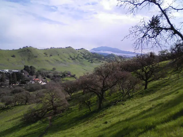 Walnut Creek, United States