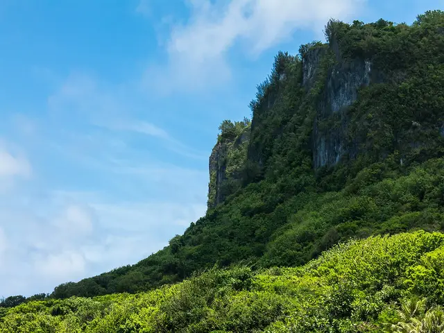 Yona, Guam
